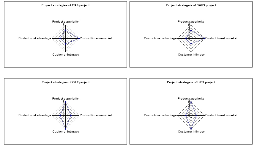 Combination of project strategies (Scales 1-5, very low to very high, represents priority levels of strategies, evaluated by researchers)