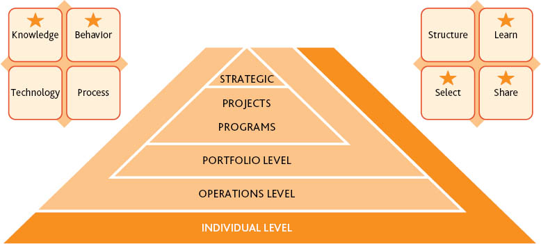 Ambidexterity Through Project Portfolio Management | PMI