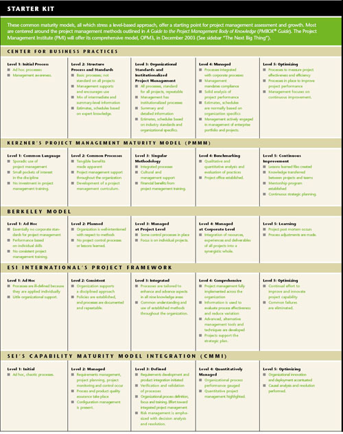 Ma·tu·ri·ty noun, 21st century. synonym: survival