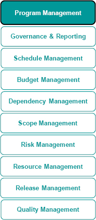 Key components of program management
