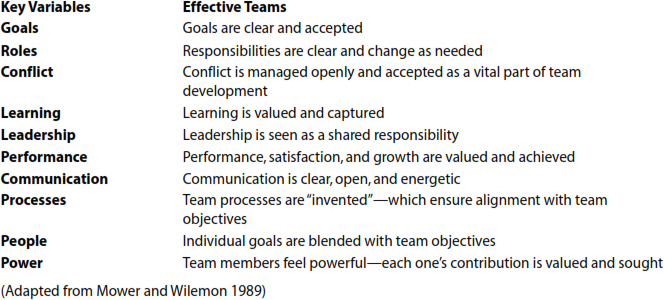 Key Characteristics of Effective Teams