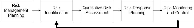 Alternative Risk Management Process