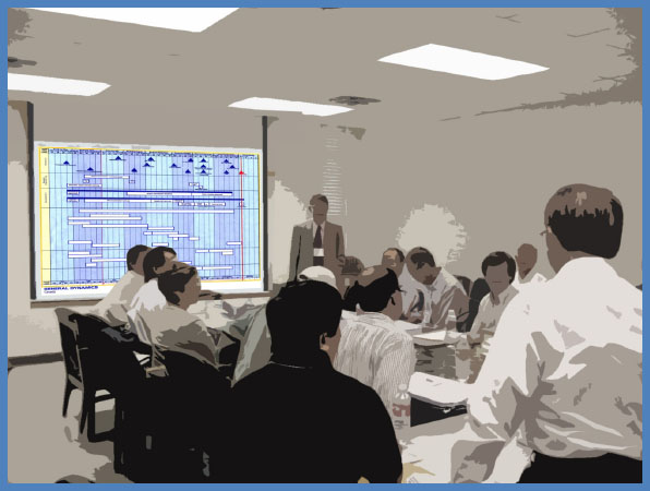 Executive project summary as a project briefing tool