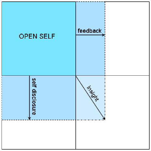 The role of self disclosure and feedback