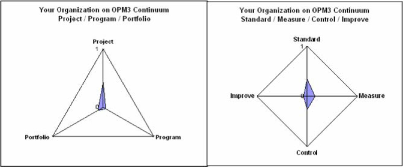OPM3™ High-level diagnostic results