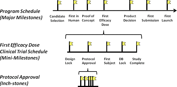 Milestone Plan