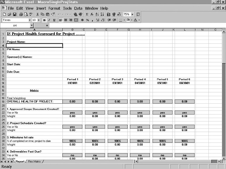 Project Manager/Sponsor Monthly Report