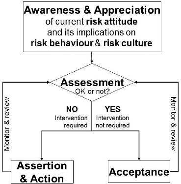 The Six A’s Framework (based on Murray-Webster & Hillson, 2008)