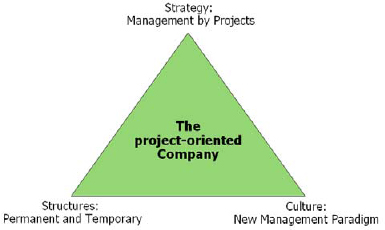 Requirement for an “organizational fit” in the project-oriented organization (Gareis, 2005, p. 26)