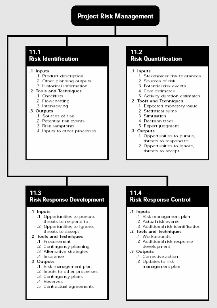 The 1996 Risk Management Chapter