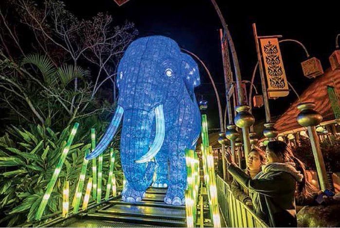 Exhibits from Vivid Sydney's Taronga Zoo project. Below left, lanterns made by students
