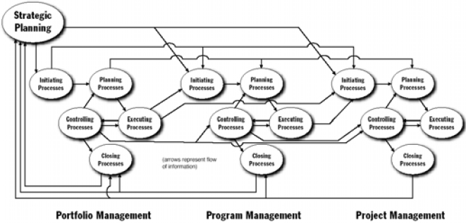 Organizational Project Management Processes