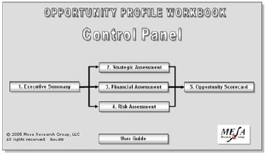 Strategic Portfolio Management