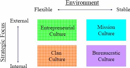 Organization Cultures
