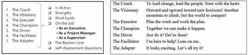 Change Intelligence's change leader styles (Trautlein, 2013)