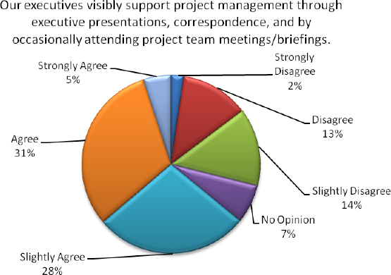 Executive Project Management Support – Research in Europe (Ghisolfi, 2010)