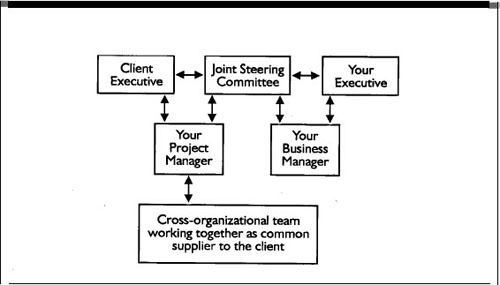 The Role of the Steering Committee