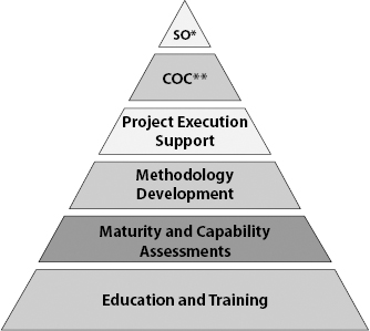 ESI's Project Management Practice Model (*Strategic Oversight; **Center of Competence)