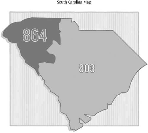 The “upstate” of South Carolina boasts a booming economy along the Interstate 85 corridor. An expanded base of available phone lines was just part of the infrastructure needed to support new industry and population growth