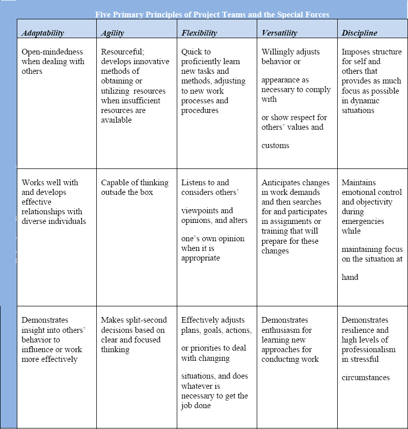 Five Primary Principles of Project Teams and Special Forces