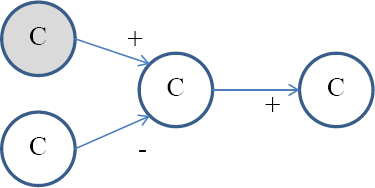 A causal cognitive map